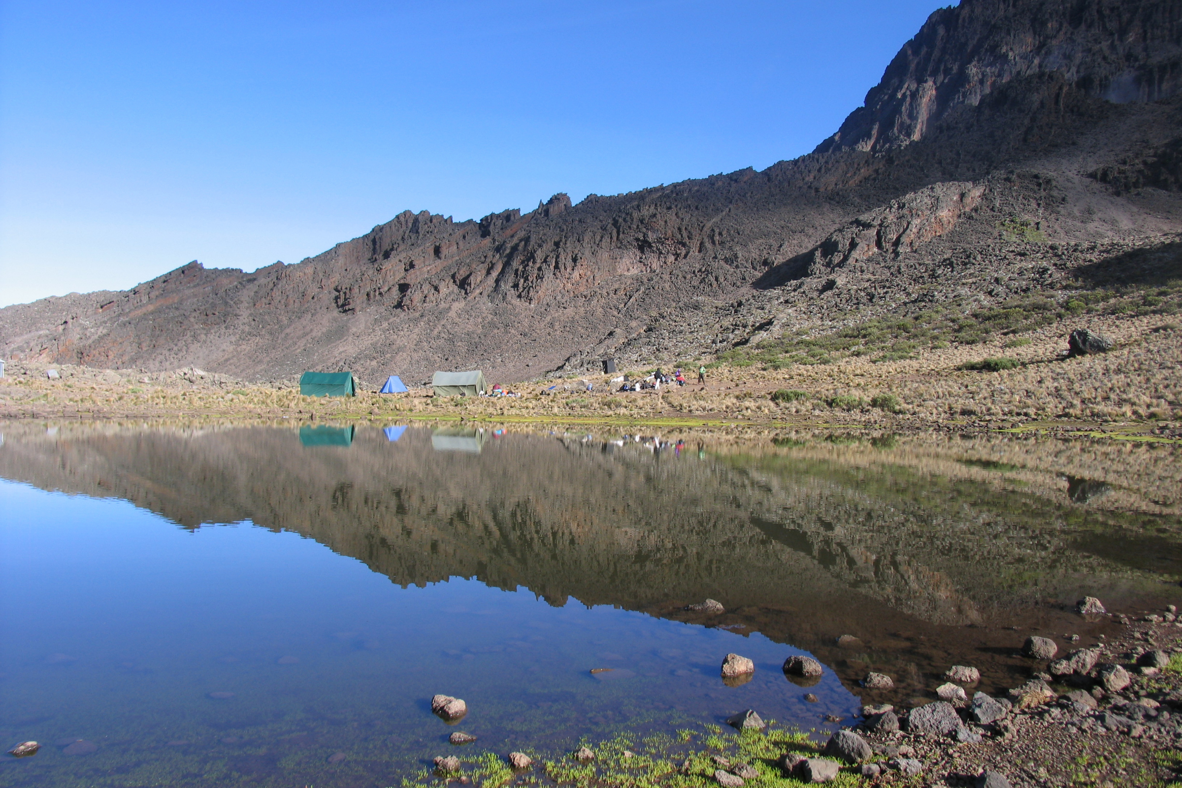 mawenzi tarn camp (4).webp